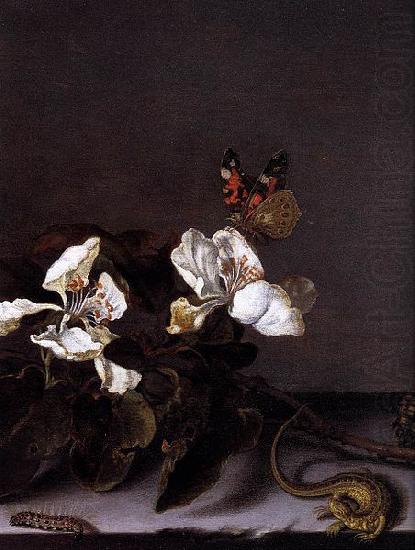 Still-Life with Apple Blossoms, Balthasar van der Ast